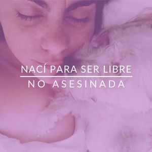 Meet your Posher, Eva